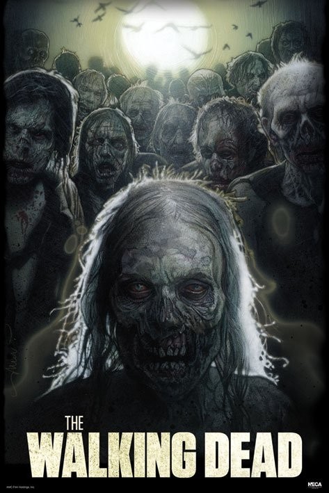 the-walking-dead-zombies-i8609