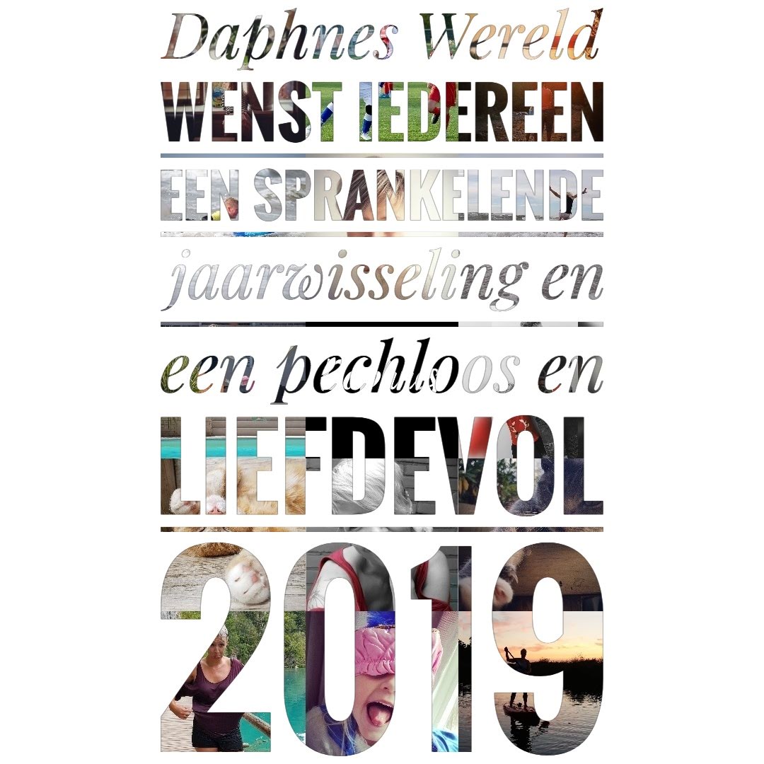 photostudio_1546095821171-01