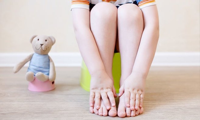 Poepje gaat naar huis