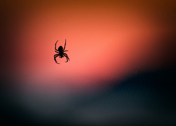 vidar-nordli-mathisen-776709-unsplash6063368150675433183.jpg