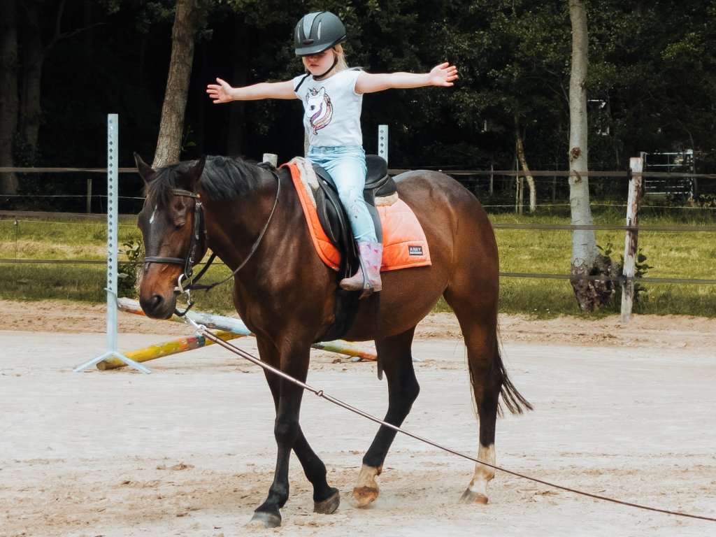 Van diva tot&nbsp;amazone